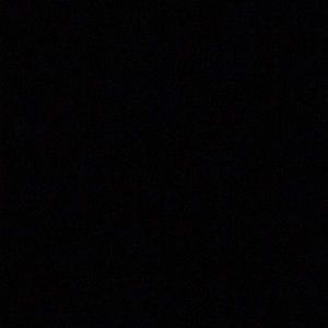 Meet your Posher, Kimmy